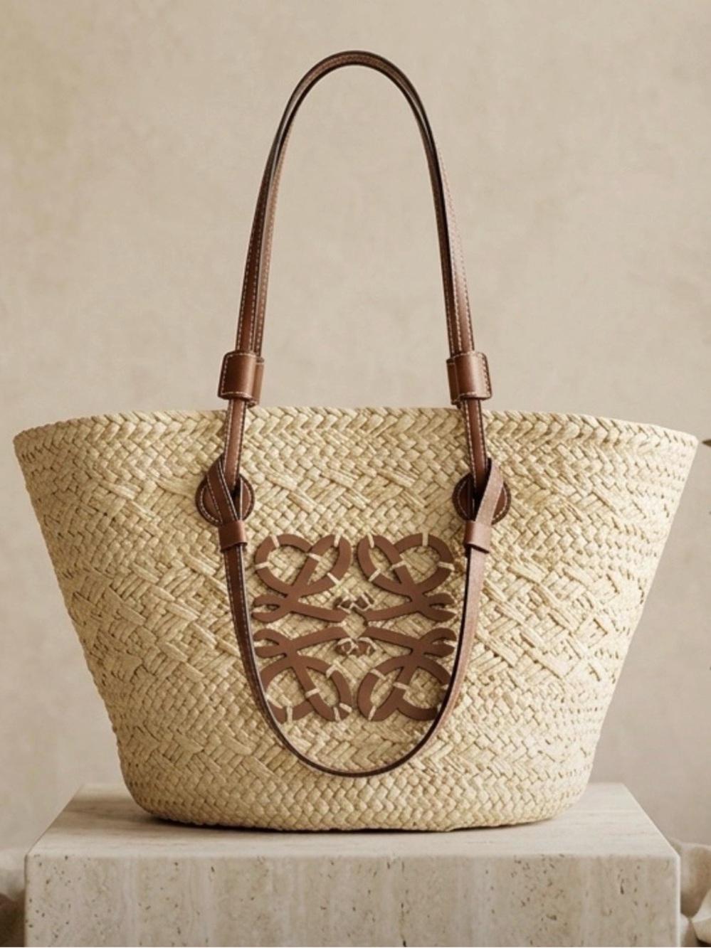 Leather-Trim Straw Tote Bag in Natural and Brown